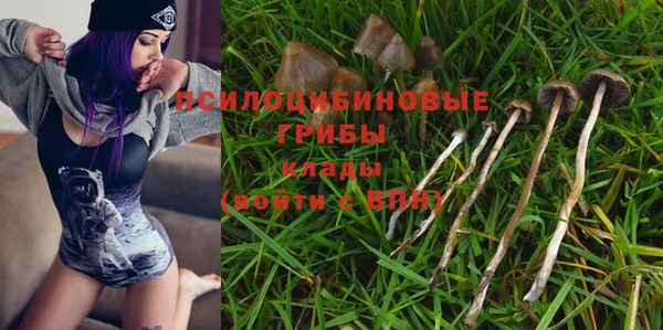ALPHA PVP Волоколамск