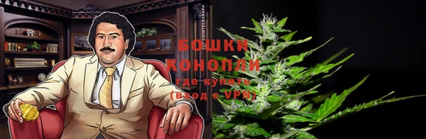 МДПВ Верхний Тагил