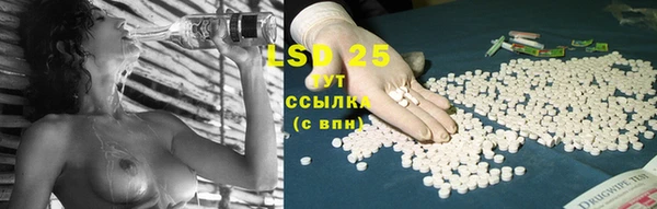 тгк Верея