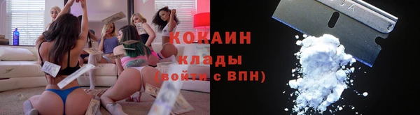 мдпв Волосово